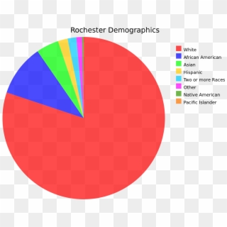 File - Rochester Demographics - Svg - Moldova Religion Statistics, HD Png Download