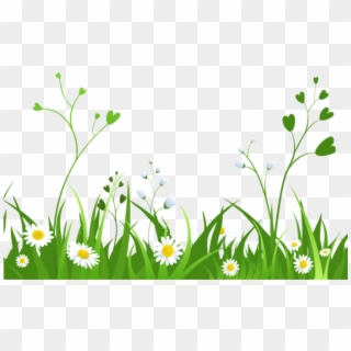 Download Daisies With Grasspicture Png Images Background - Nature Clipart Transparent Background, Png Download