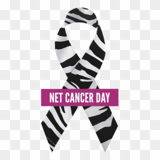 I Agree - Net Cancer Day 2018, HD Png Download