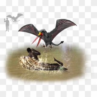 Pterodactyl Png, Transparent Png , Transparent Png Image - PNGitem