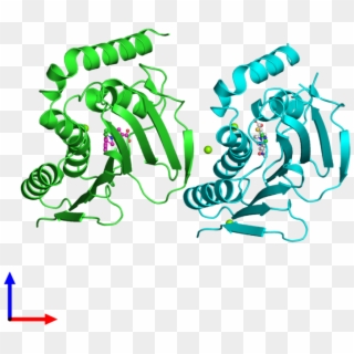 Pdb 3ttz Coloured By Chain And Viewed From The Front - Graphic Design, HD Png Download