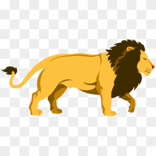 Lion Png Hd PNG Transparent For Free Download - PngFind