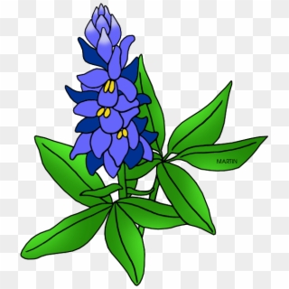Bluebonnet Clip Art - State Flower Of Texas Drawing, HD Png Download