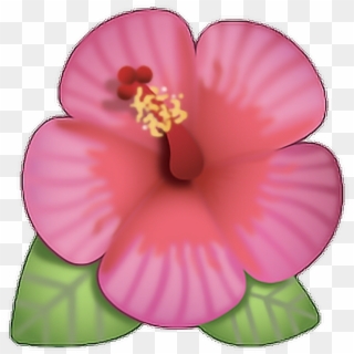 Flor Sticker - Flower Emoji With Transparent Background, HD Png Download