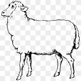 Clip Art Sheep Black And White, HD Png Download
