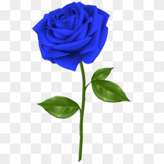 Blue Rose Clipart Red Rose Outline - Blue Rose Png, Transparent Png