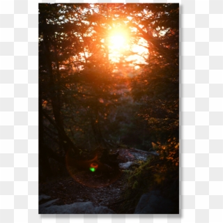 Trailghost Format=1000w, HD Png Download