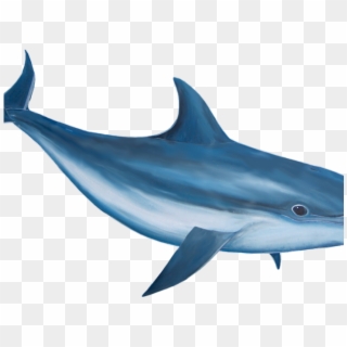Vaporwave Clipart Dolphin - Realistic Dolphin Clip Art, HD Png Download
