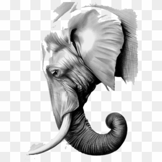 Graphic Black And White Library The Elephants Paper - Asian Elephant Head Drawing, HD Png Download