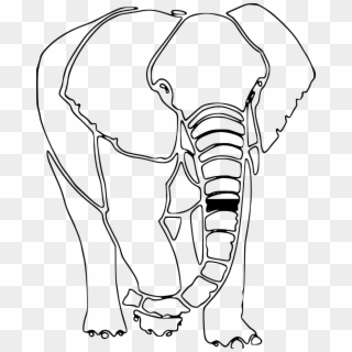 Elephant Animal Mammal Front Png Image - ช้าง กราฟฟิก, Transparent Png