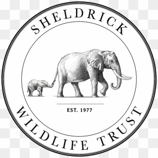Sheldrick Trust Elephant Orphanage, HD Png Download