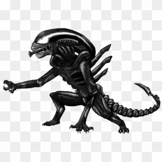 Png For - Xenomorph Transparent Background, Png Download