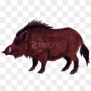 Free Png Wild Boar Png Png Images Transparent - Wild Boar Png, Png Download