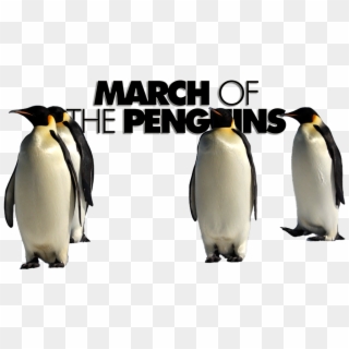 March Of The Penguins Image - March Of The Penguins Png, Transparent Png