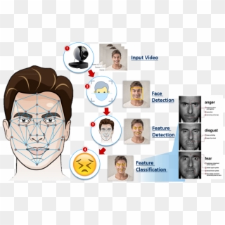 Gain Deeper Insights Into Human Emotional Reactions, - Face Recognition System Works, HD Png Download