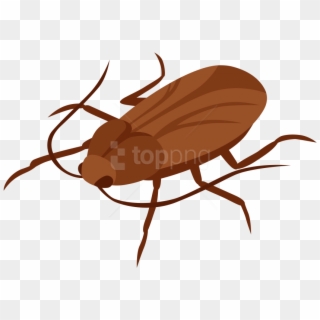 Free Png Cockroach Png Images Transparent - Cockroaches Clipart, Png Download