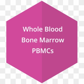 Whole Blood, Bone Marrow, Pbmcs - Graphic Design, HD Png Download