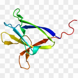 Protein Prkab2 Pdb 2f15 - Graphic Design, HD Png Download