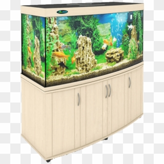 Aquarium Png - Aquarium Lighting, Transparent Png