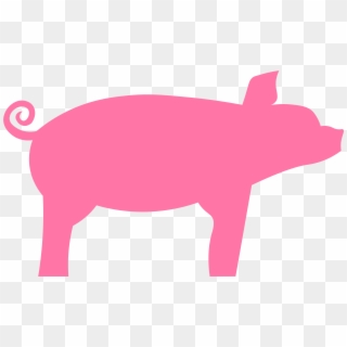 A Minimalist Pig Icon Designed On Illustrator - Domestic Pig, HD Png Download