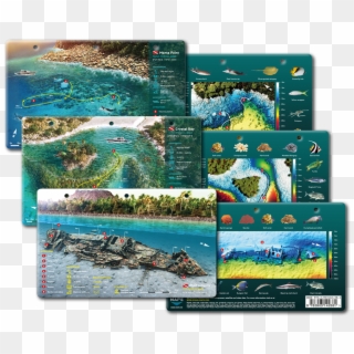 Our Dive Cards Are Printed On Durable, Waterproof Pvc - Battlecruiser, HD Png Download