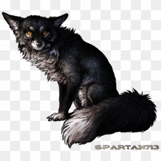 Silver Fox, HD Png Download
