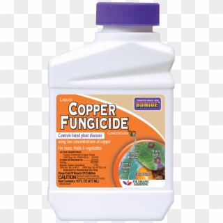 Liquid Copper Will Kill Rust Fungi, Halt The Growth - Bonide Copper Fungicide Label, HD Png Download