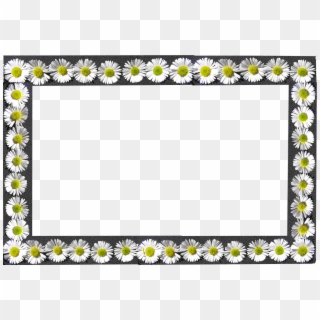 Frame Daisies Border - Picture Frame, HD Png Download