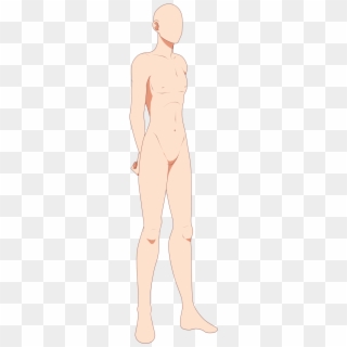 Base Anime Male - Illustration, HD Png Download - 535x1494(#3839952) -  PngFind