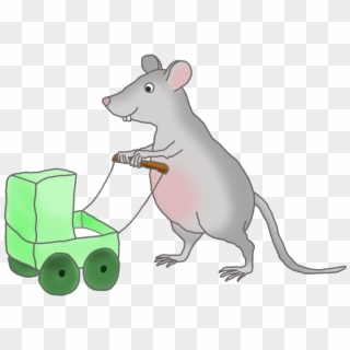 Mouse - Rat, HD Png Download
