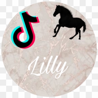 Lilly - Stallion, HD Png Download