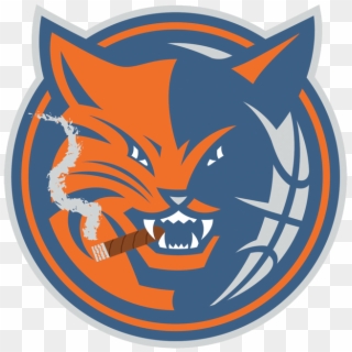 Perdomo - Charlotte Bobcats Logos, HD Png Download