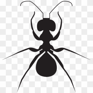 Ant Clipart , Png Download - Ant, Transparent Png