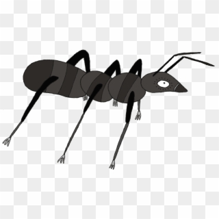 No Way We Are Going Home Ⓒ - Carpenter Ant, HD Png Download