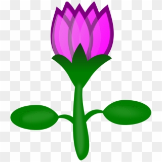When They Work Together, They Stick Together - Lotus Flower Cartoon, HD Png Download