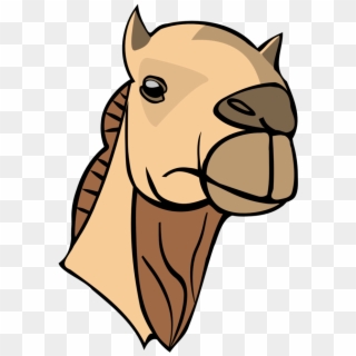 Camel Clipart Head, HD Png Download