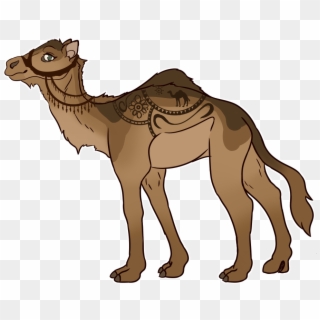 A By Whotchaberry - Arabian Camel, HD Png Download