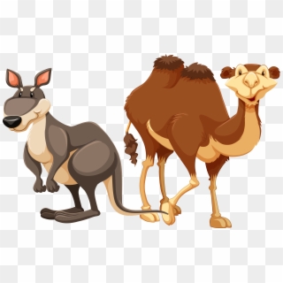 Camel Stock Photography Illustration, HD Png Download