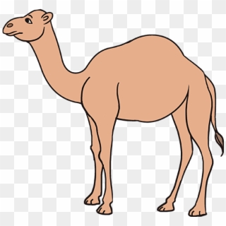 Drawing Camels Printable - Camel Drawing Easy, HD Png Download