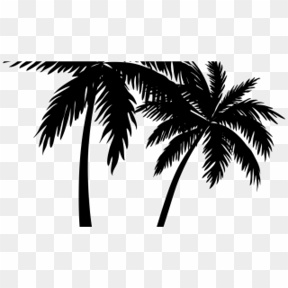 Transparent Palm Tree Clipart, HD Png Download