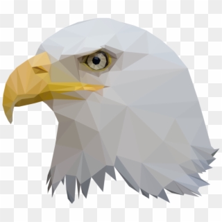 Low Poly Eagle - Low Poly Art Eagle, HD Png Download