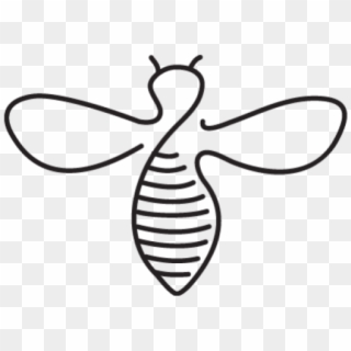 Outline Of A Bee, HD Png Download