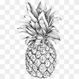 Pineapple Drawing Png Transparent Background - Drawing Of Detailed Pineapple, Png Download