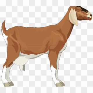 Goat Pictures Free Goat Free Vector 4vector Simple - Goat Clipart Png, Transparent Png