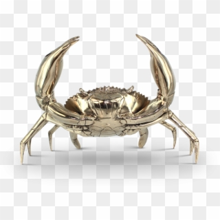 Silver Metal Crab - Pinchy Crabs, HD Png Download