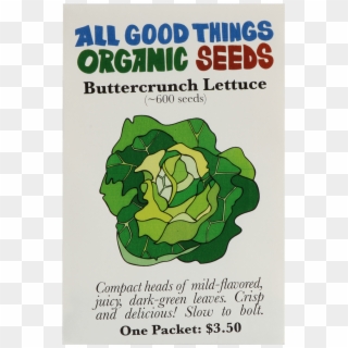 Buttercrunch Lettuce - Poster, HD Png Download