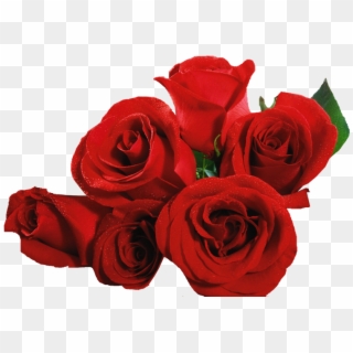 Flores - Rosas - Lacremania - Botão De Rosas Vermelhas Png, Transparent Png