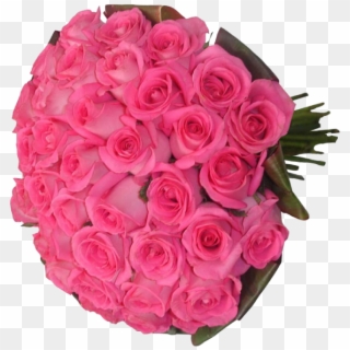 Rosas Nacionais Na Tonalidade Pink, Envoltas Pela Folhagem - Garden Roses, HD Png Download