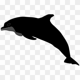 Tucuxi Common Bottlenose Dolphin Porpoise Silhouette - Wholphin, HD Png Download