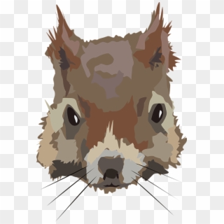 Squirrel Head Face Animal Mammal Brown Wildlife - Cara De Ardilla Png, Transparent Png